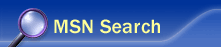 MSN Search.com